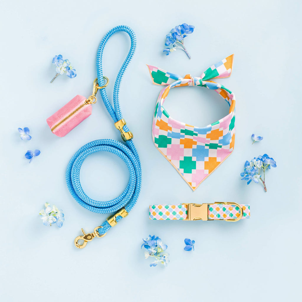 Blue Rope Dog Leash