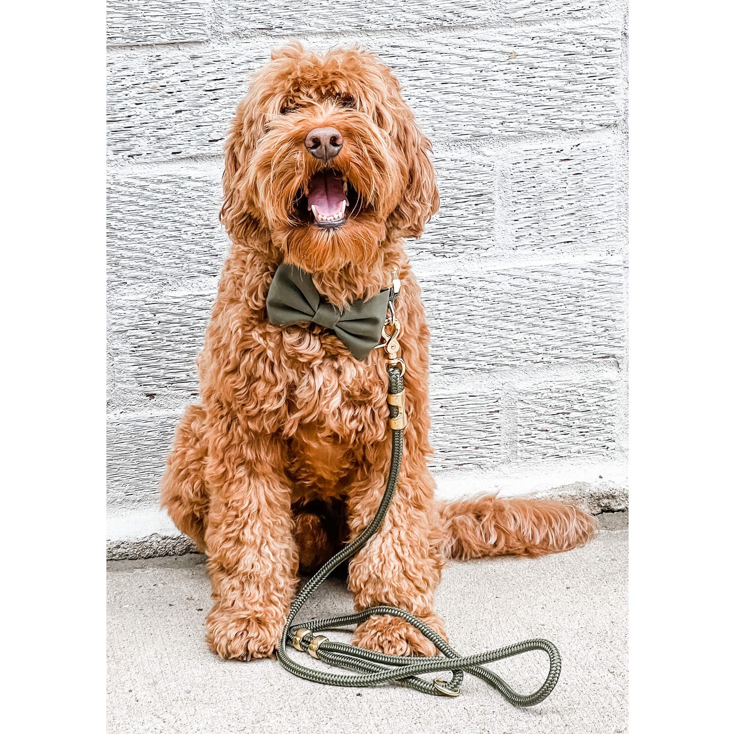 Olivee Rope Dog Leash