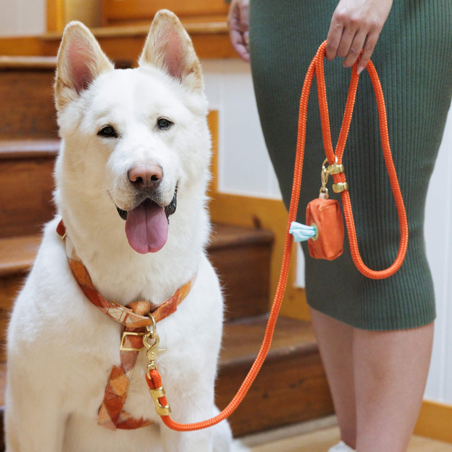 Smaller Rope Dog Leash