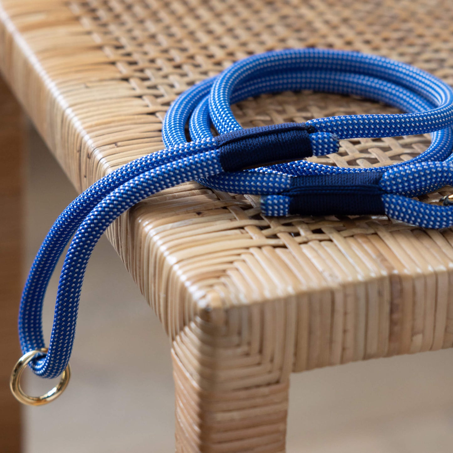 Climbing Rope Dog Leash