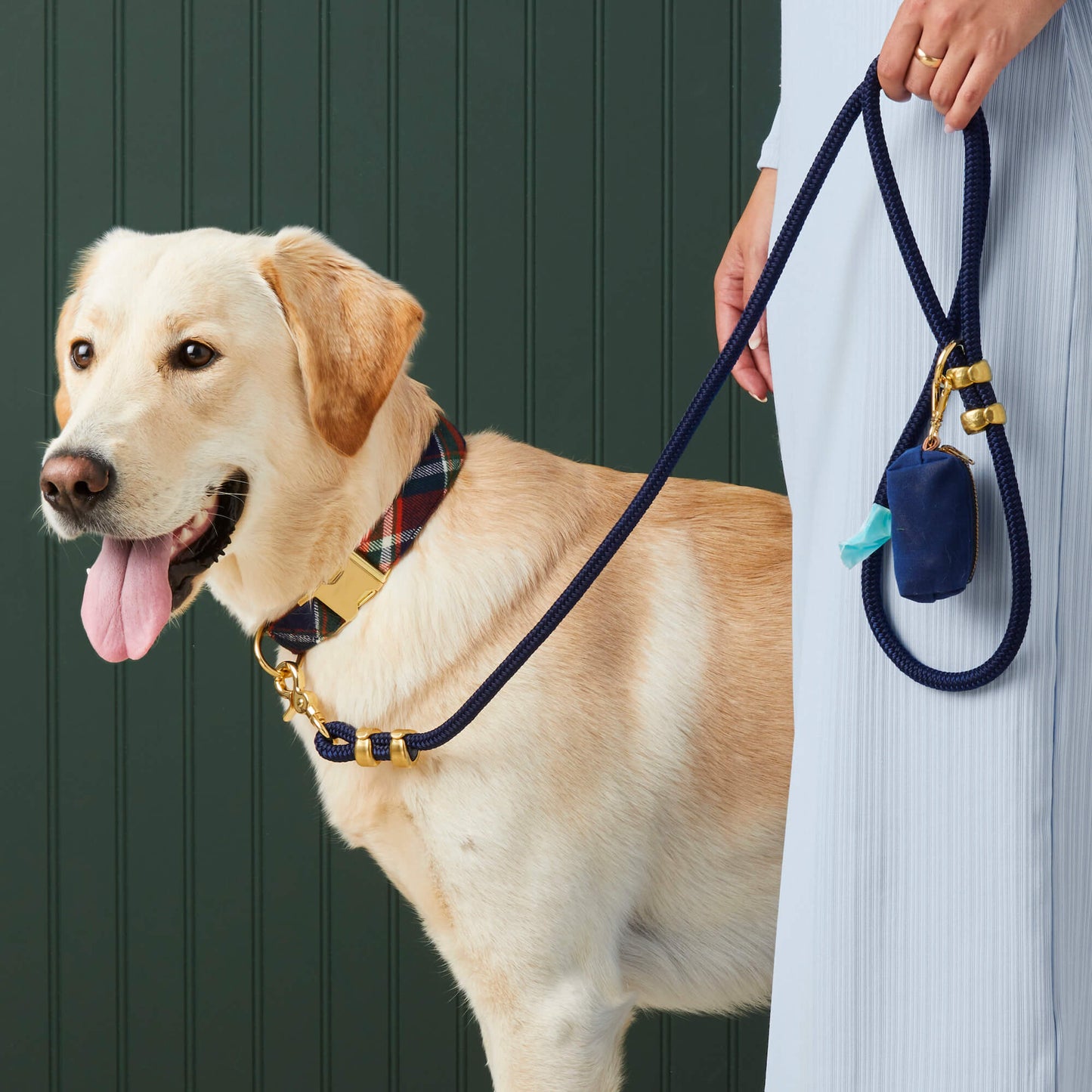 Ocean Rope Dog Leash