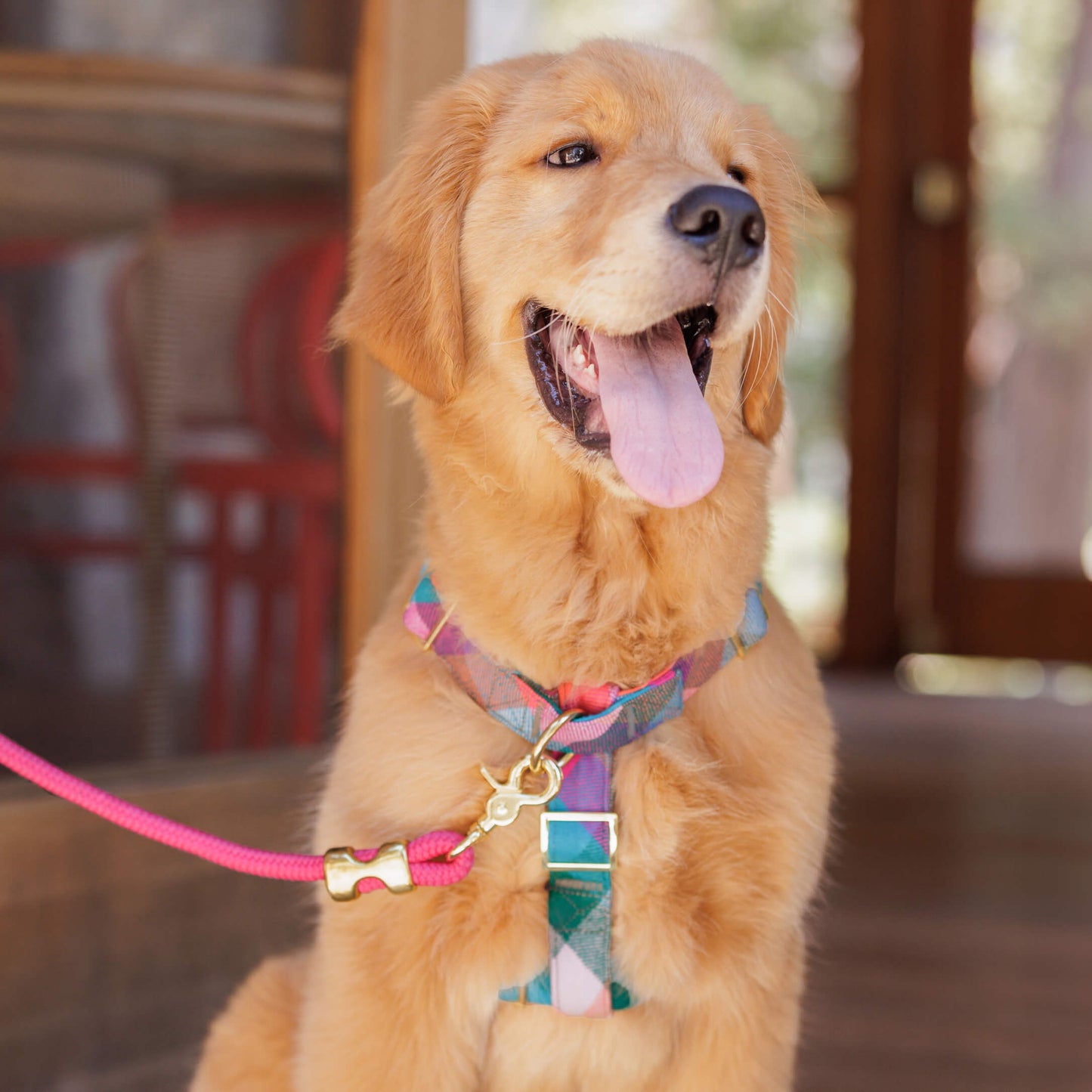 Hot Pink Rope Dog Leash