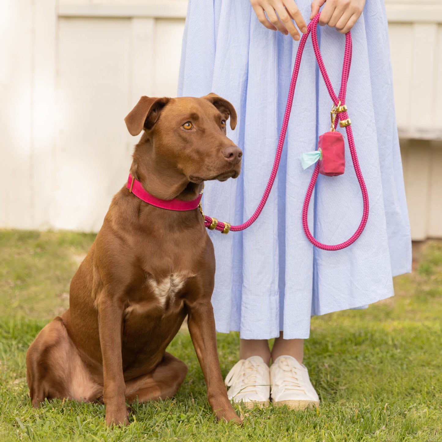 Hot Pink Rope Dog Leash