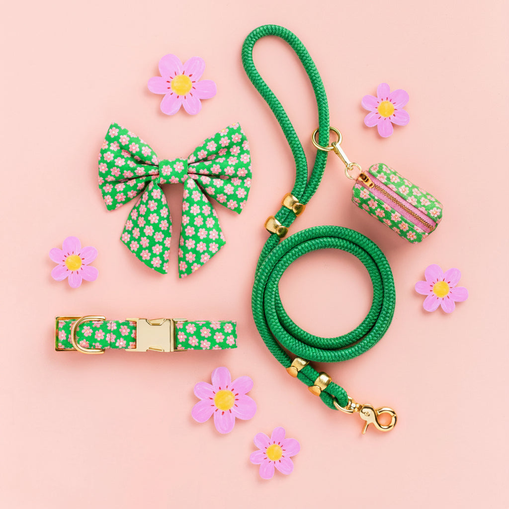Grass Green Rope Dog Leash