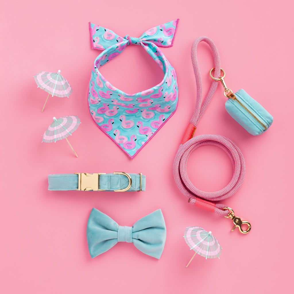 Watermelon Pink Rope Dog Leash