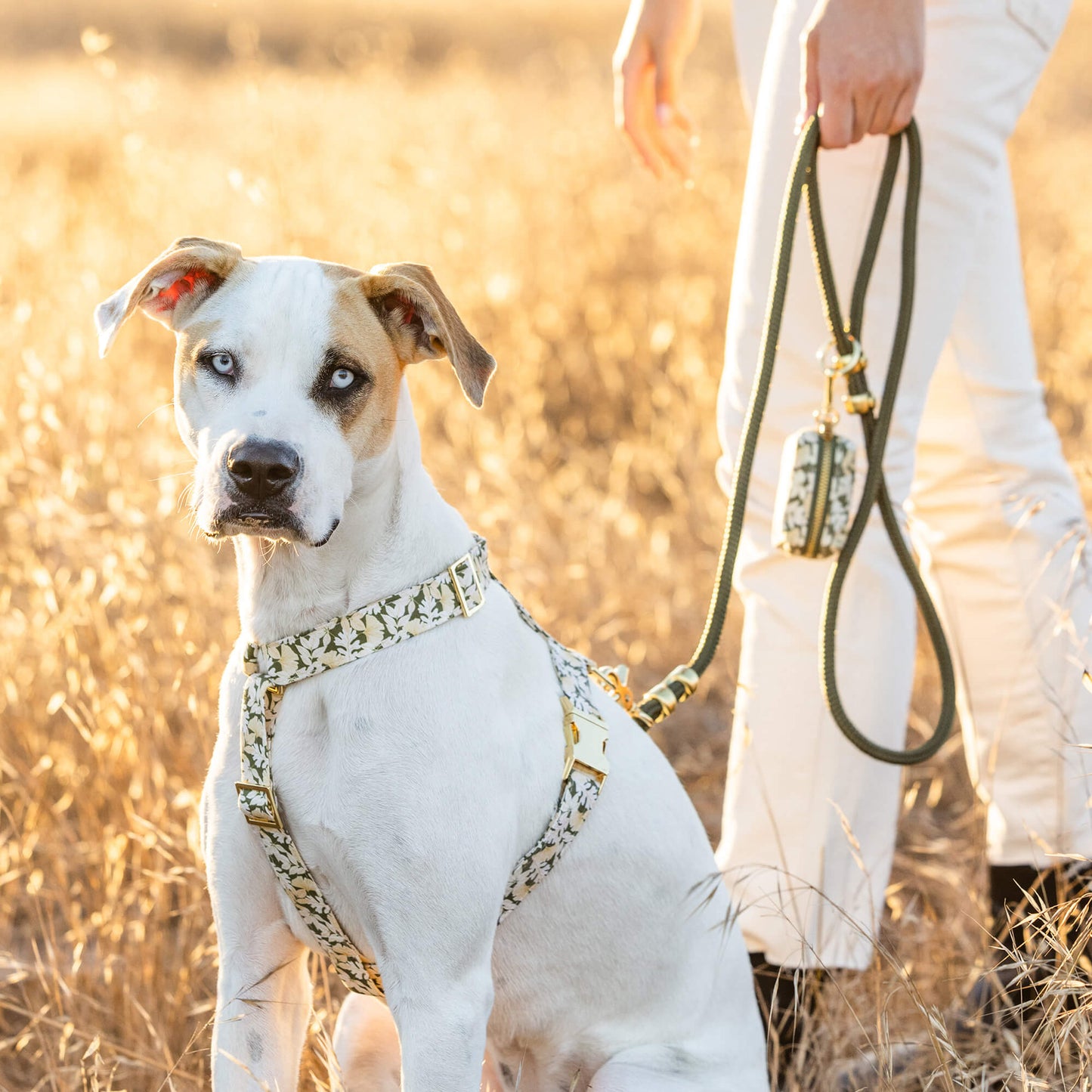 Olivee Rope Dog Leash