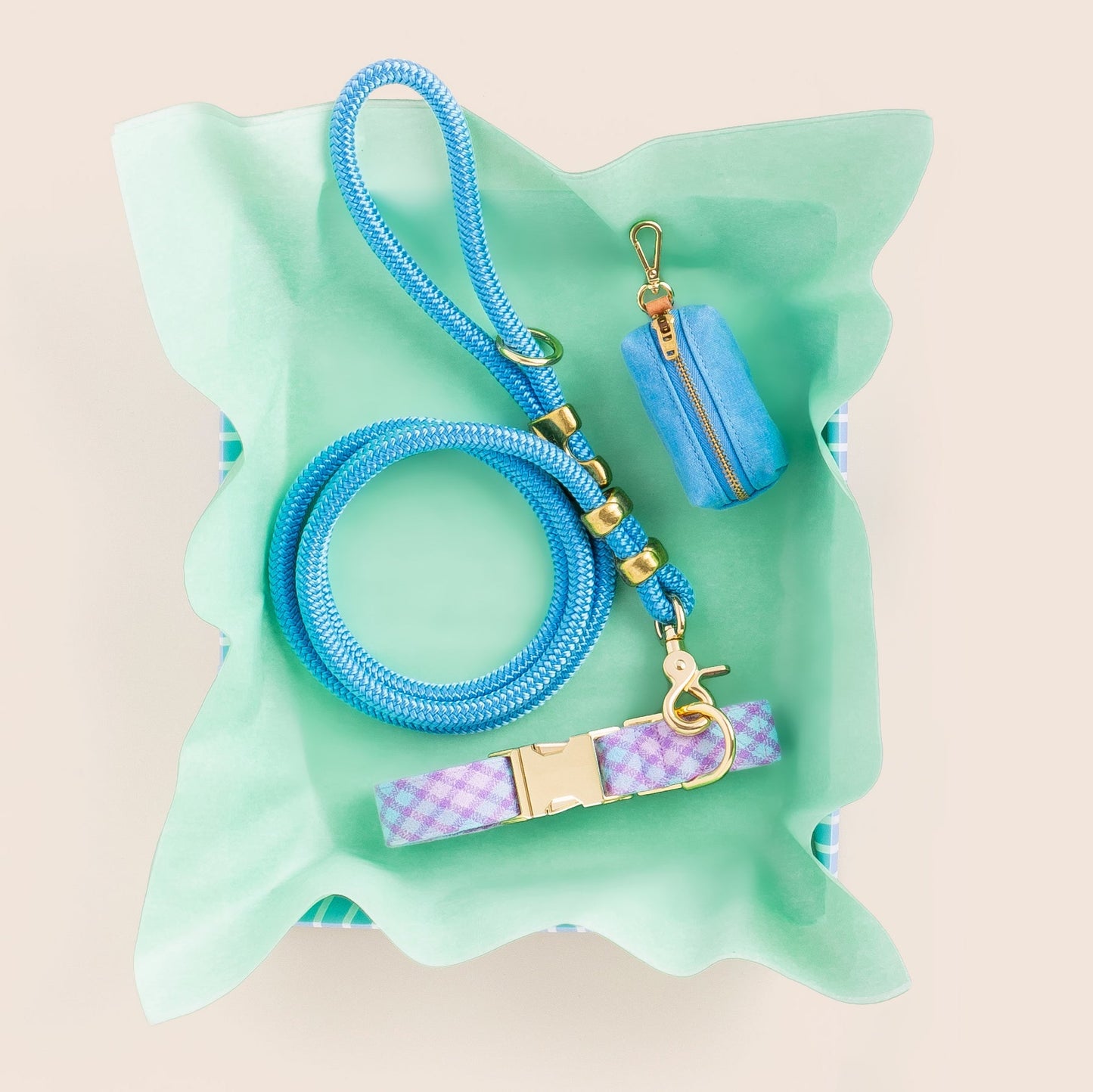 Blue Rope Dog Leash