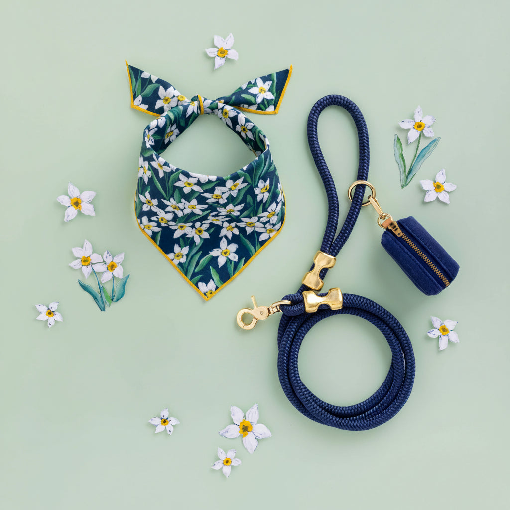 Ocean Rope Dog Leash