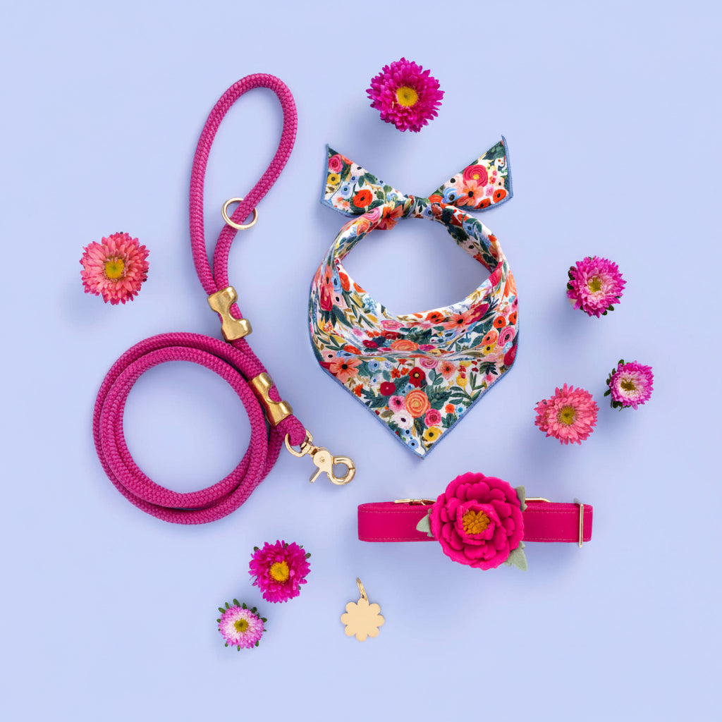 Hot Pink Rope Dog Leash
