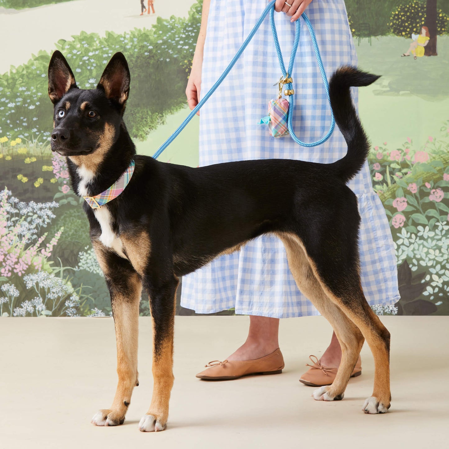 Blue Rope Dog Leash