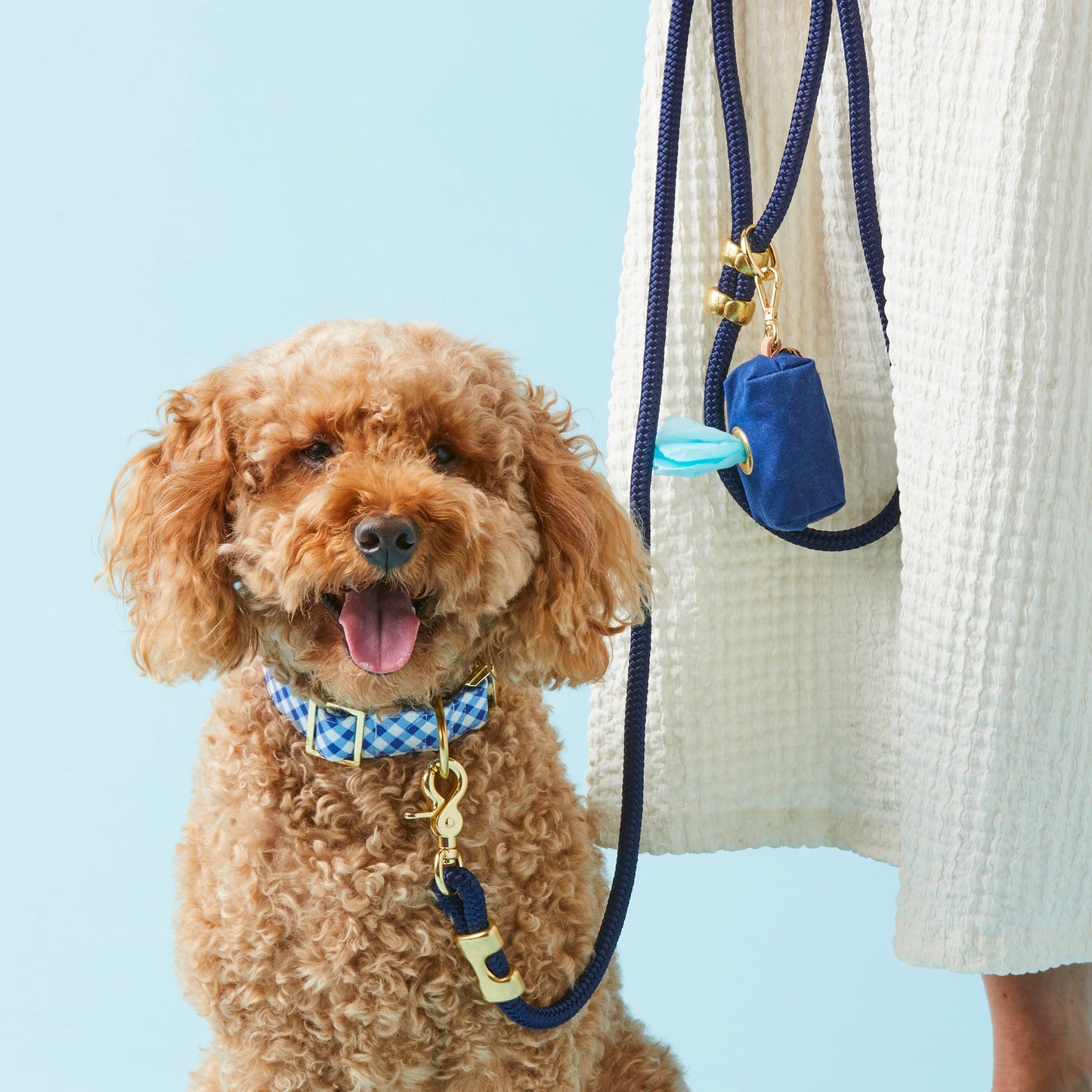 Ocean Rope Dog Leash