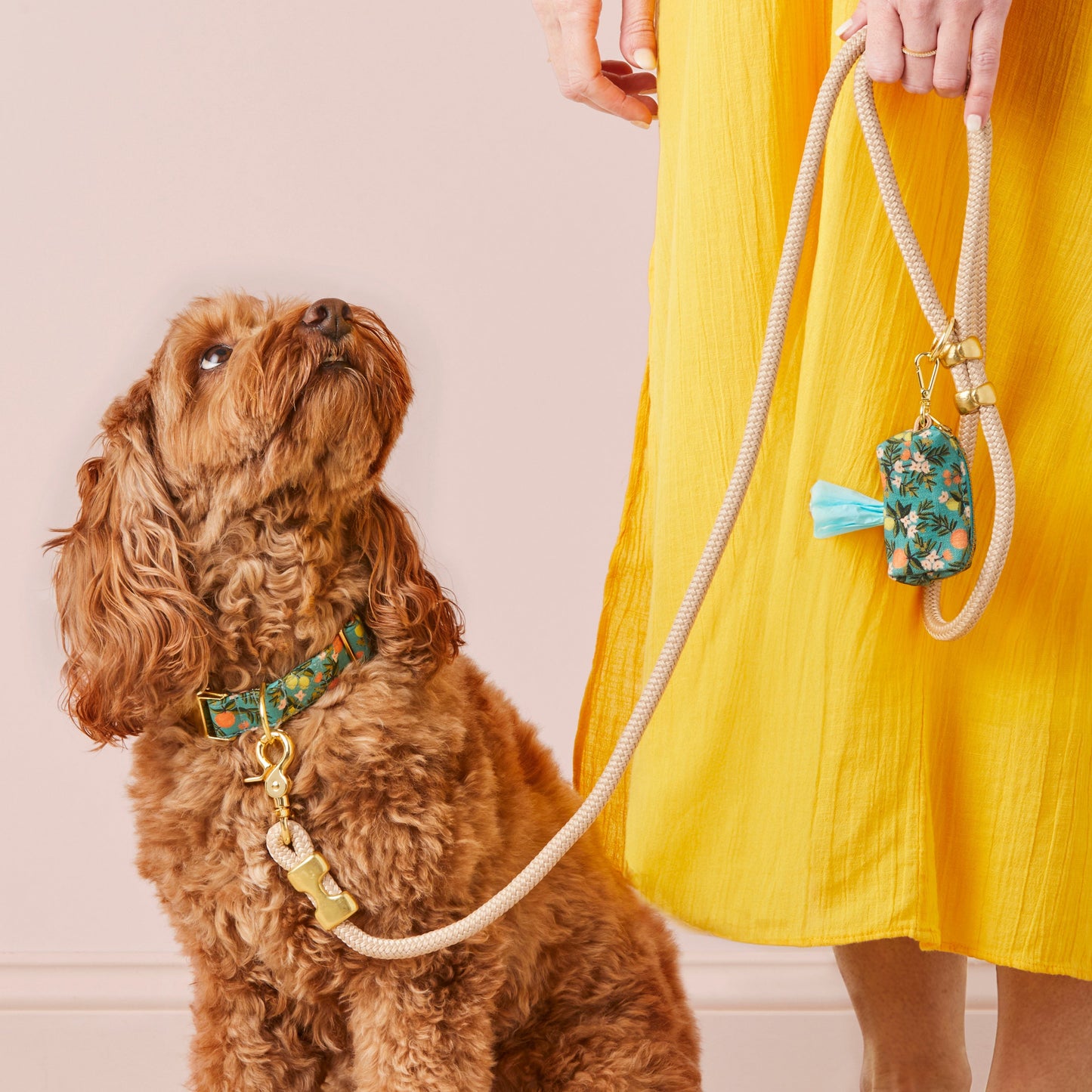 Flez Rope Dog Leash