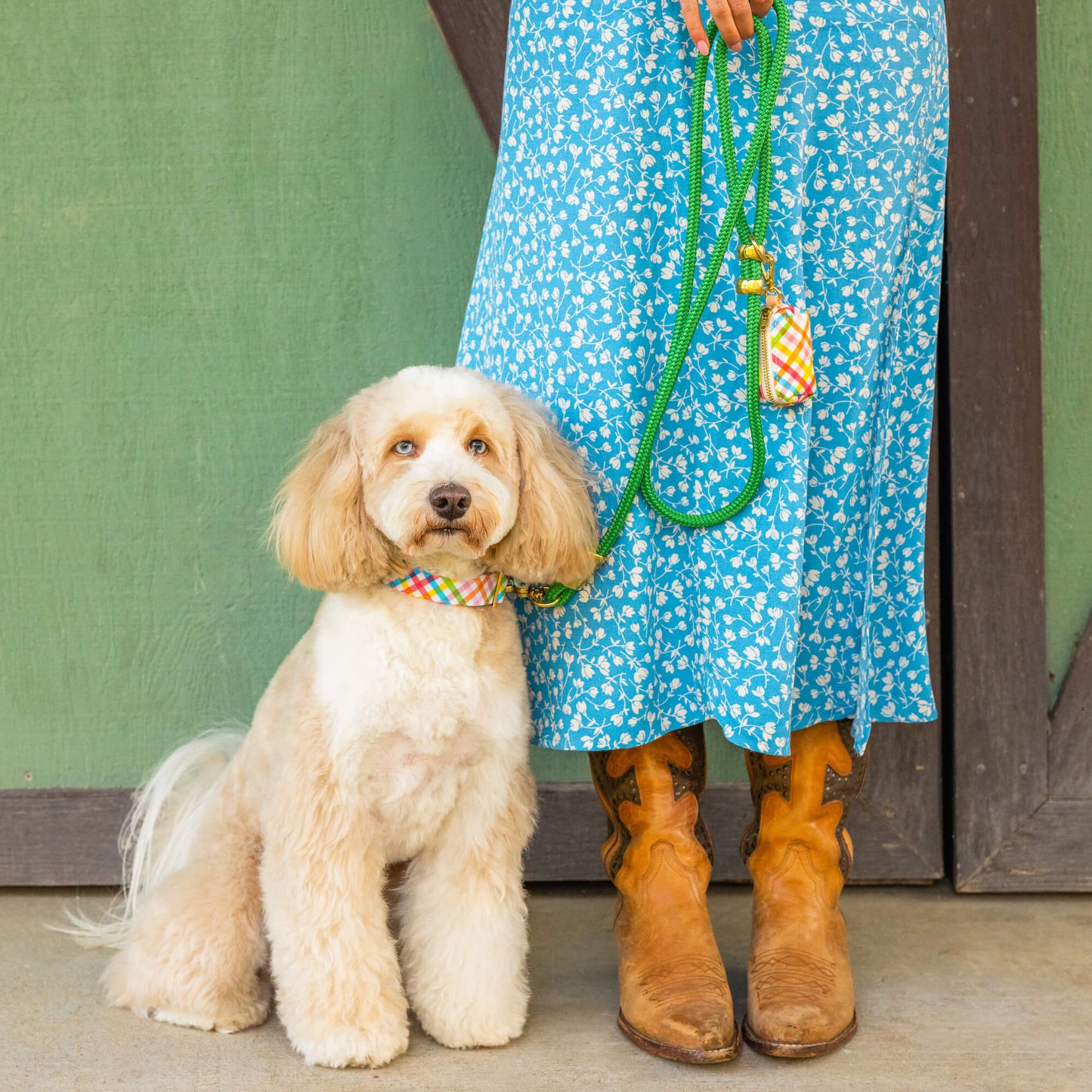 Grass Green Rope Dog Leash