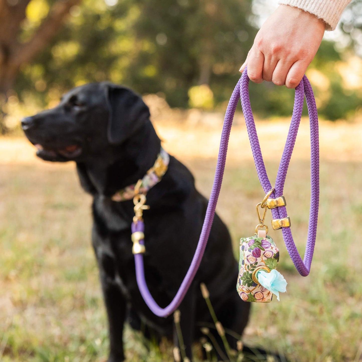 Violet Rope Dog Leash