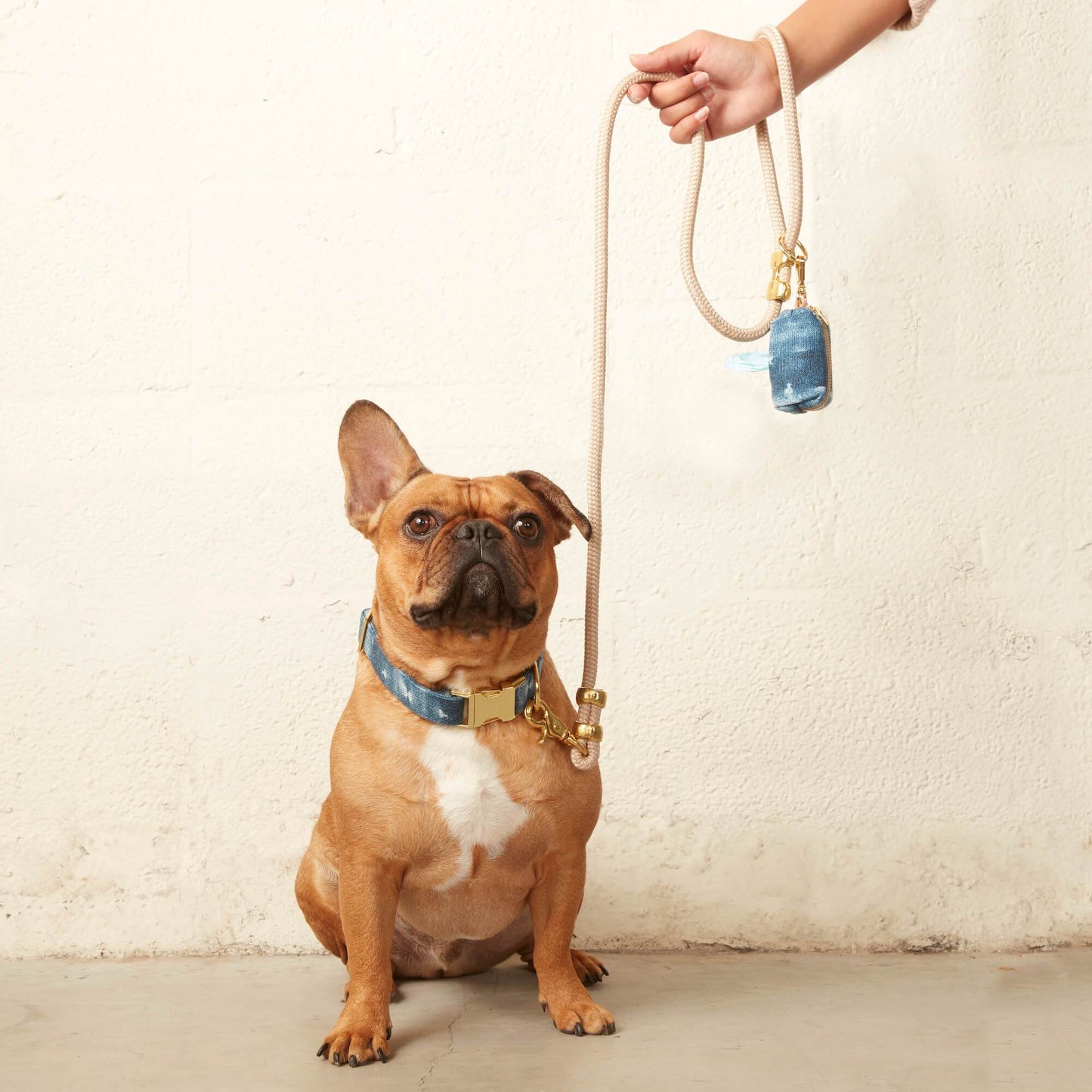 Flez Rope Dog Leash
