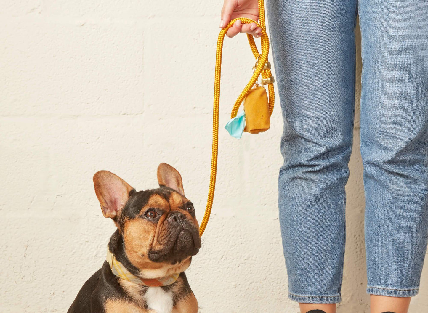 Golden rod Rope Dog Leash