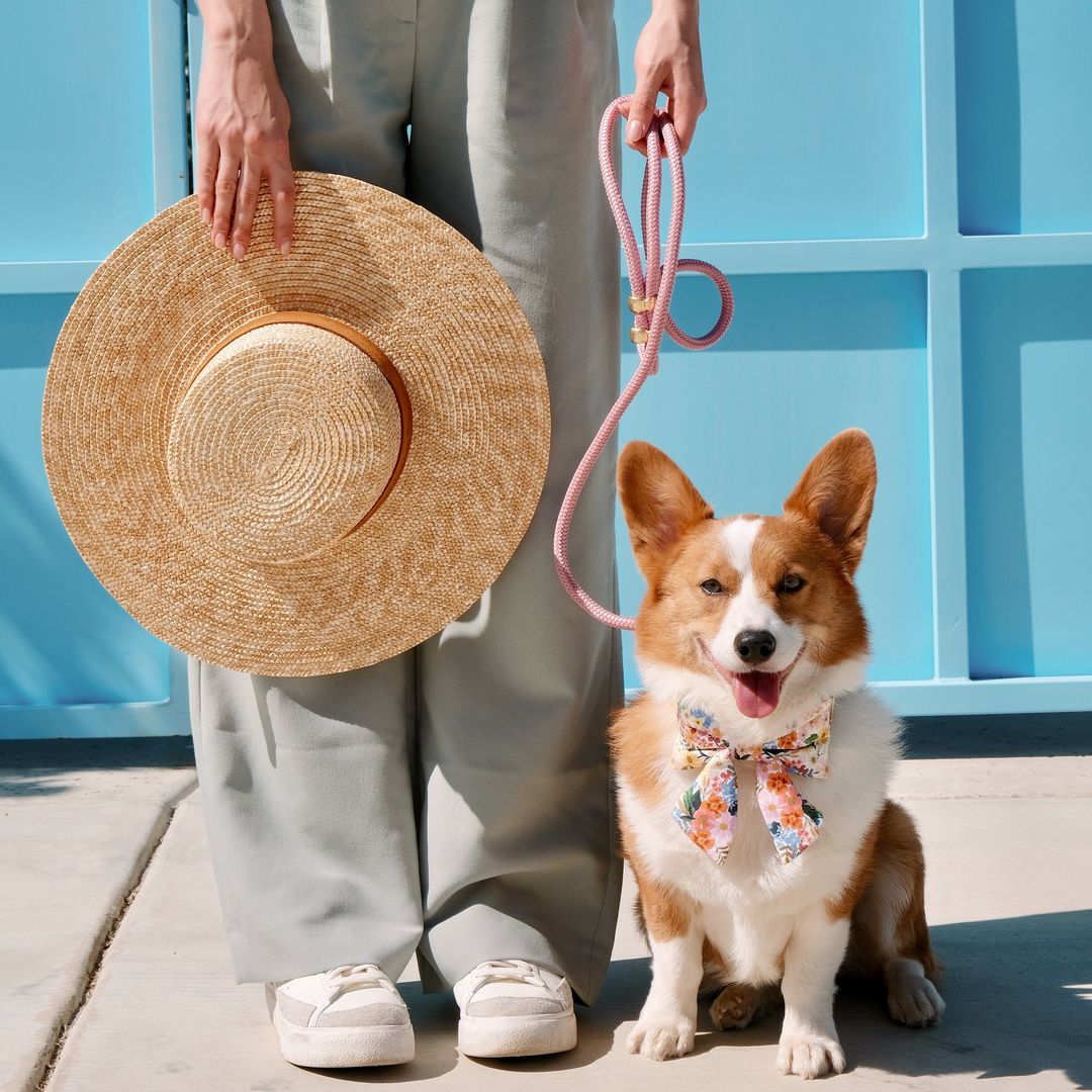Orchiid Rope Dog Leash