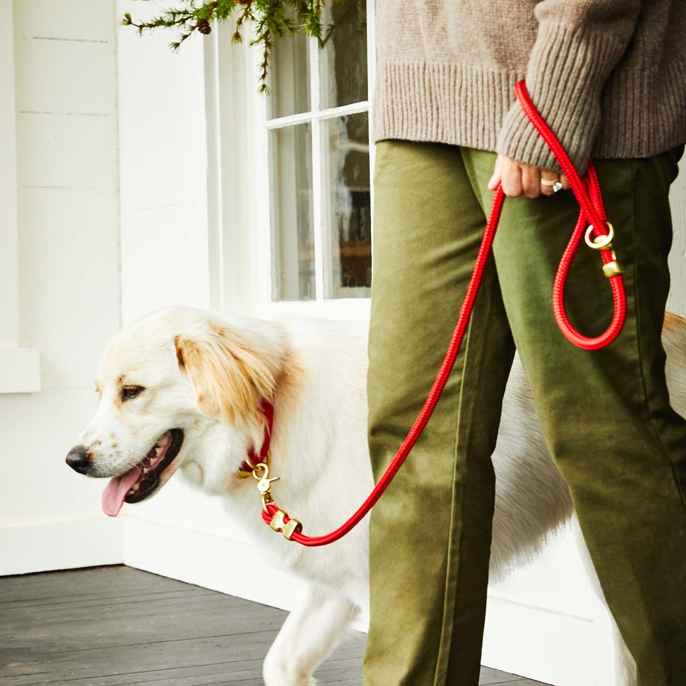 Ruby Rope Dog Leash