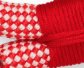 Strawberry Rope Dog Leash
