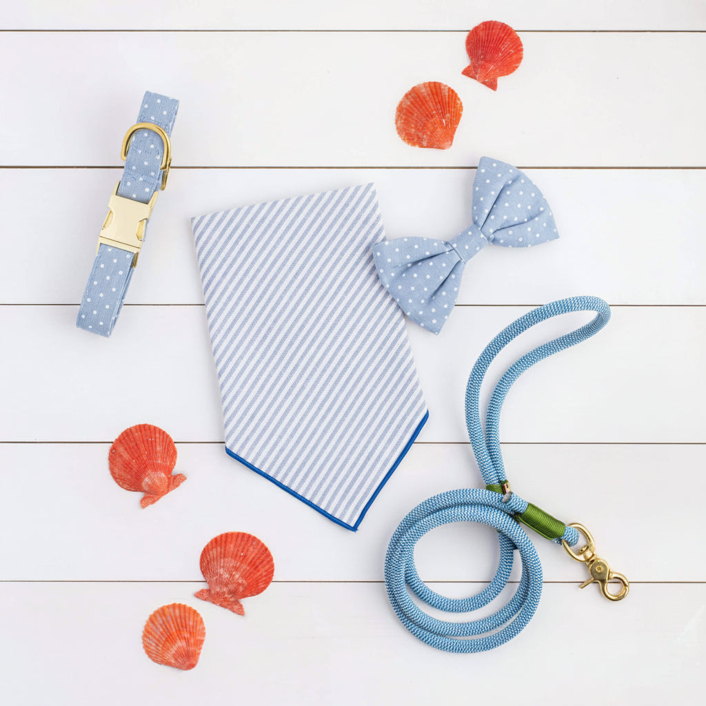 Rope Dog Leash